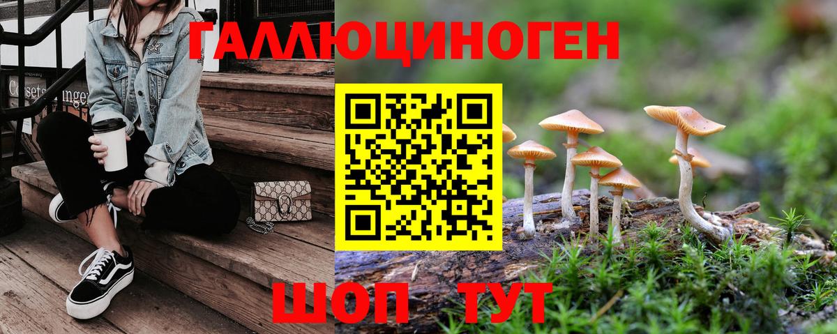Псилоцибиновые грибы MAGIC MUSHROOMS  где найти наркотики  Зима  Вход с VPN 